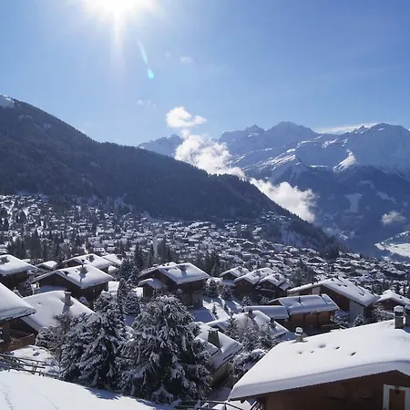 Pinot Gris 3 Apartman Verbier